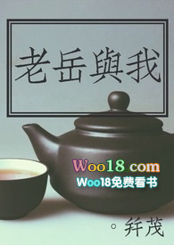 老岳与我小说有啥情节